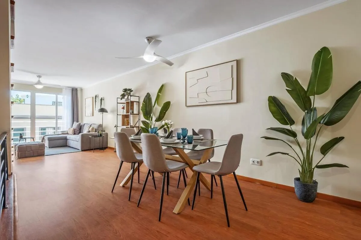 Super Rabbit Apartamento Funchal  Funchal (Madeira)